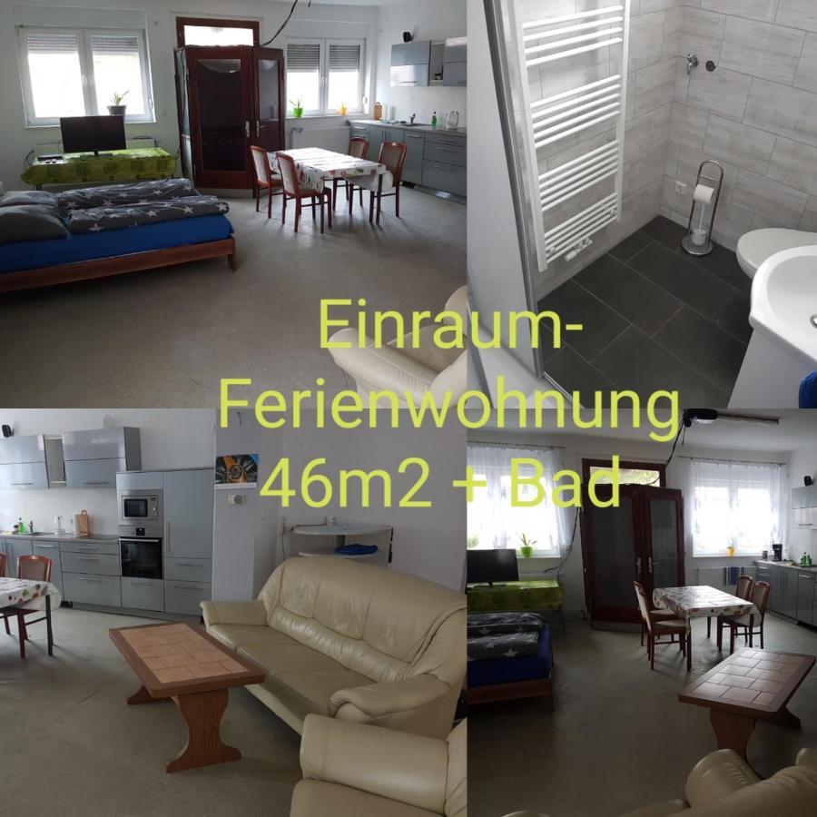 Einraum-Ferienwohnung 46M2 Eisenhuettenstadt-Diehlo Eisenhüttenstadt Exterior foto